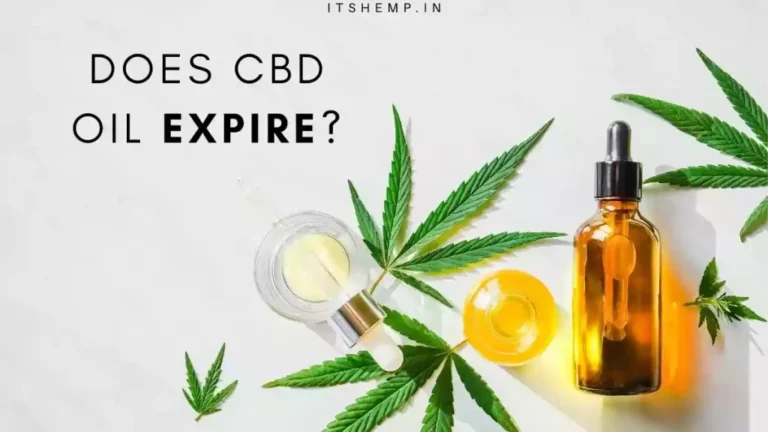 DOES-CBD-OIL-EXPIRE-1024x576
