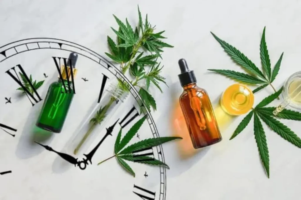 CBD Oil and the Gut Exploring Its Potential Role in Digestive Health