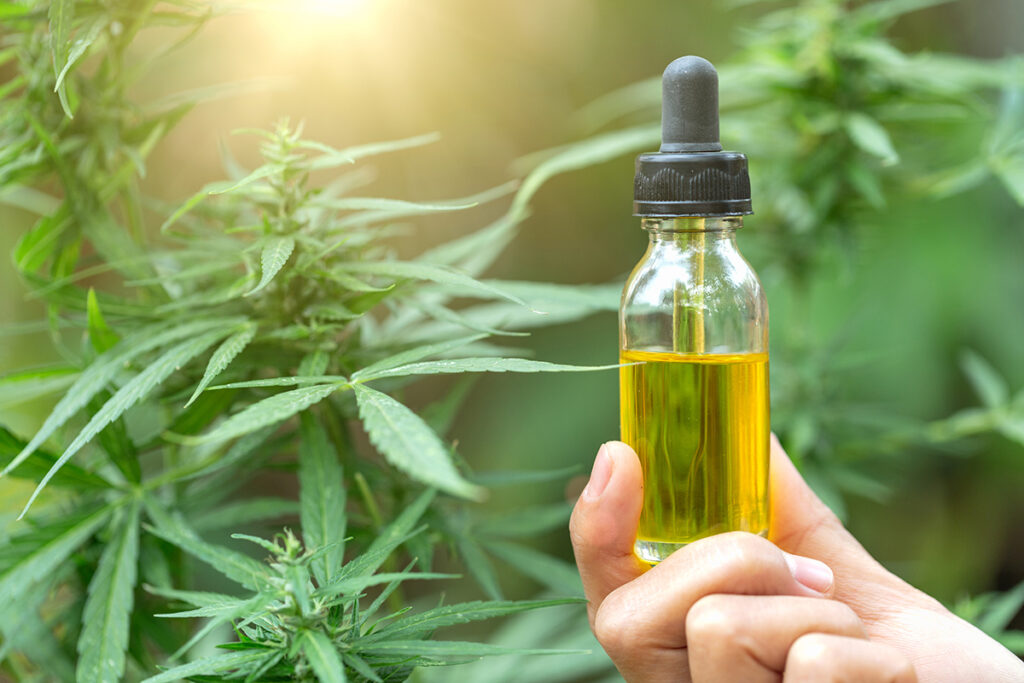 What Is CBD Oil and How Does It Work