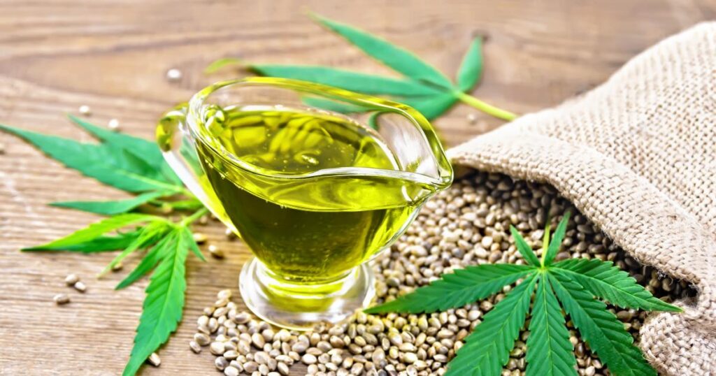 Growing High-Quality Hemp Plants