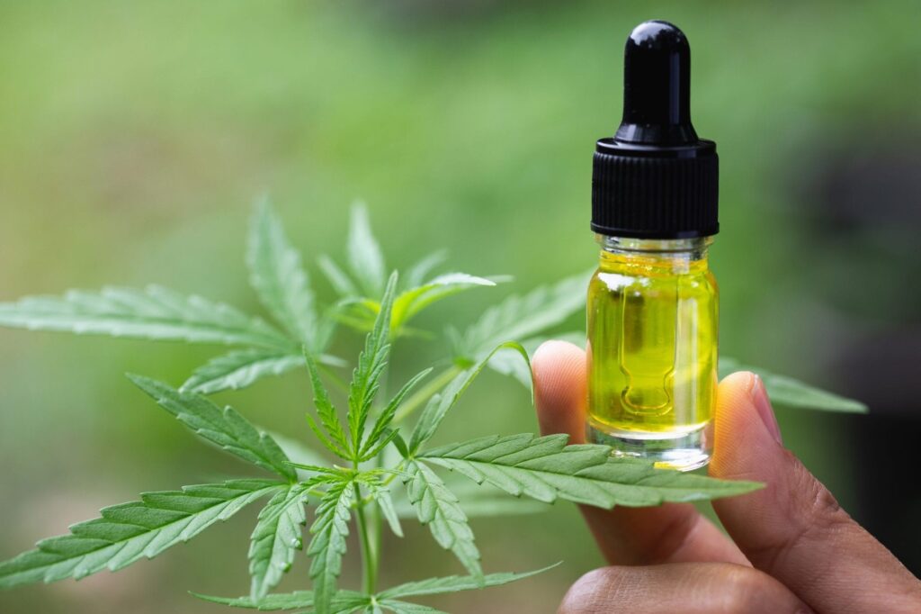 How CBD Oil Is Made From Hemp Plant to Final Bottle
