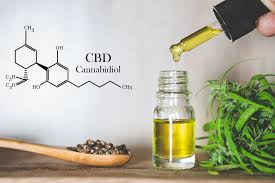 CBD Oil for Daily Stress Management