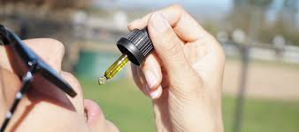 CBD oil for digestive health