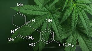 CBD For Chronic Stress